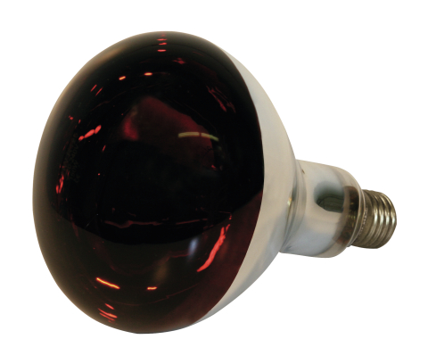 Kerbl Hartglas-Wärmelampen, rot 150 W