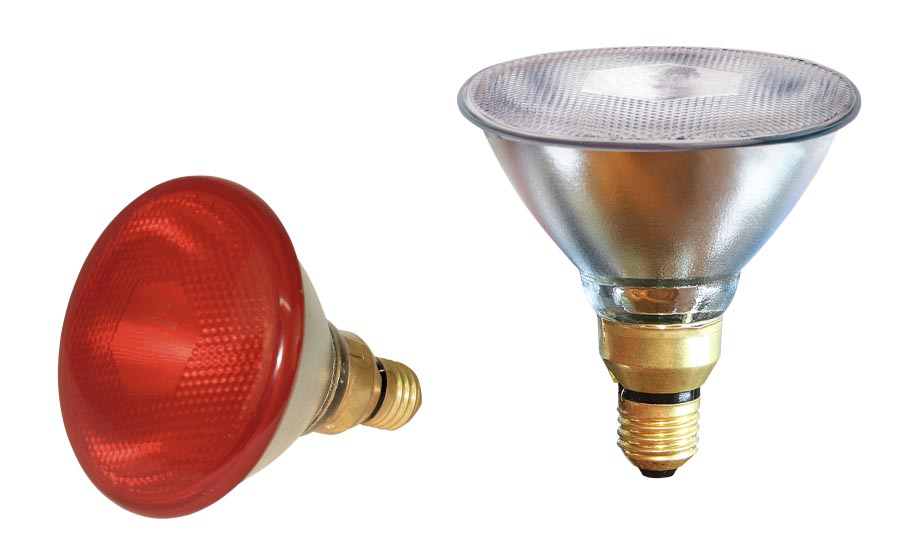 Kerbl Wärmelampe PAR, rot 100 W